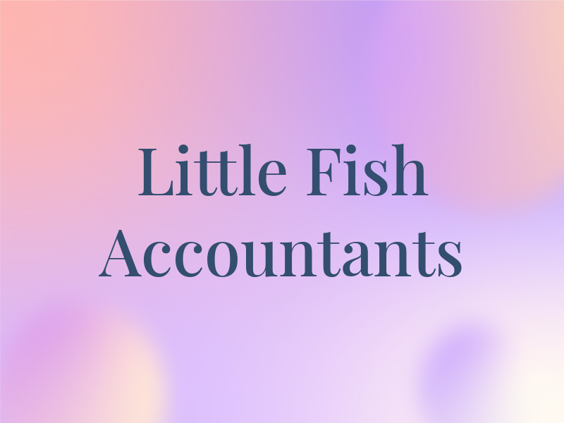 Little Fish Accountants