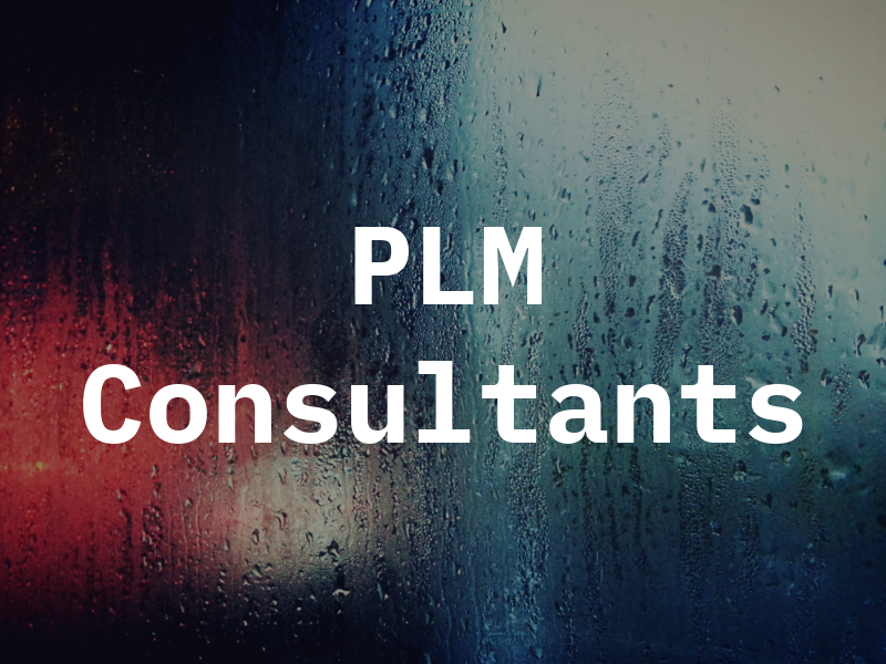PLM Consultants