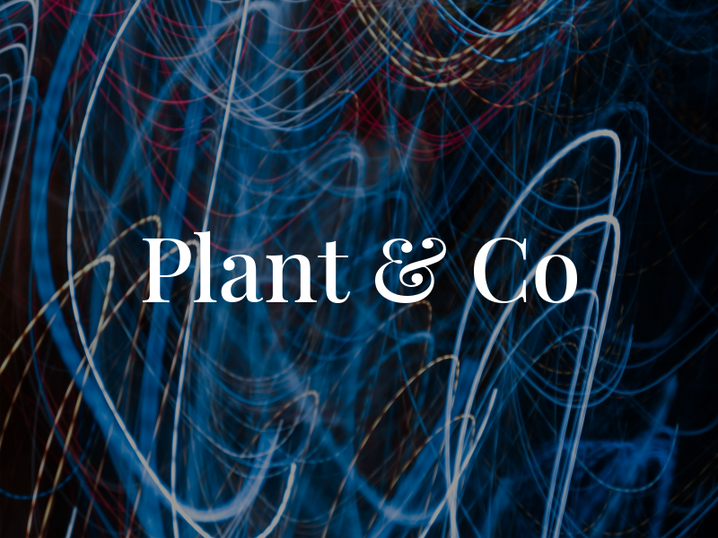 Plant & Co