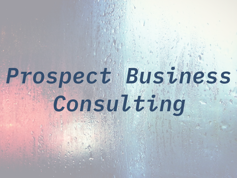 Prospect Business Consulting