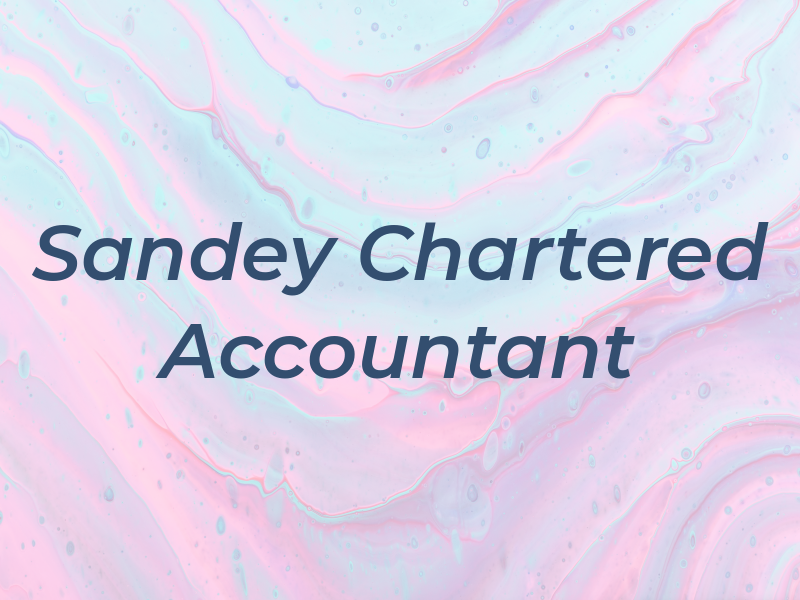 Roy Sandey Chartered Accountant