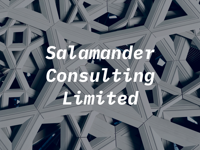 Salamander Consulting Limited