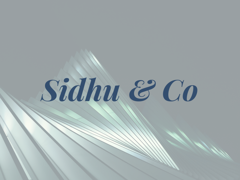 Sidhu & Co