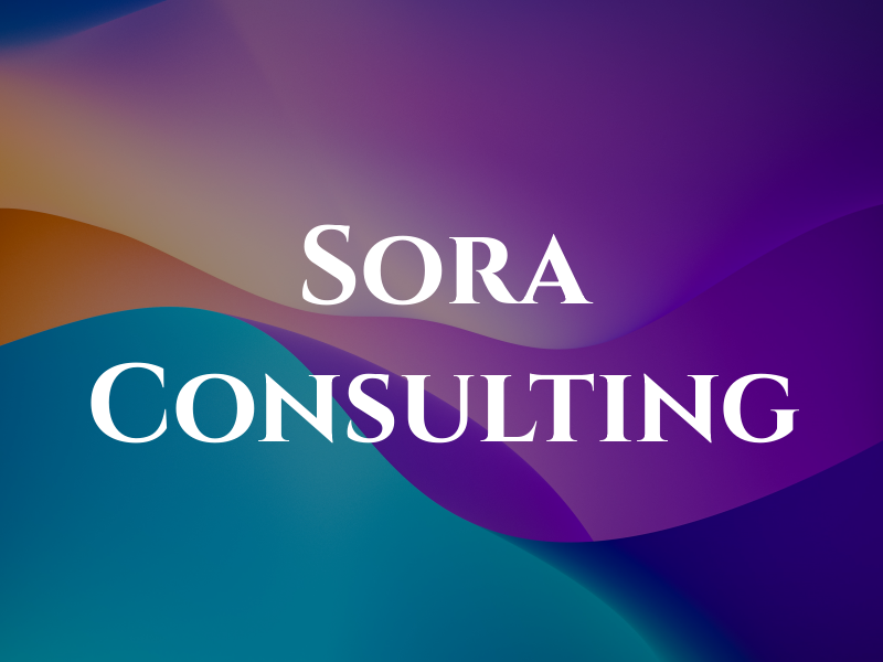 Sora Consulting