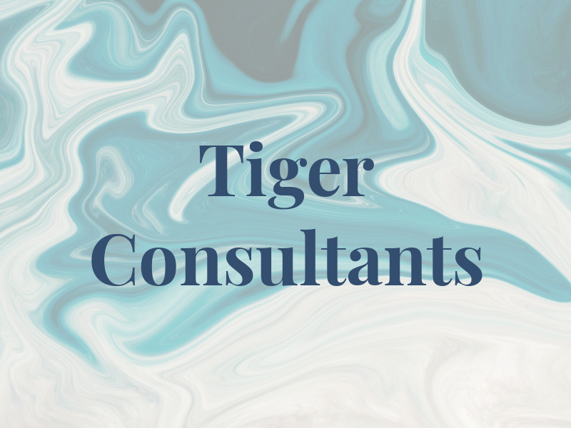 Tiger Consultants