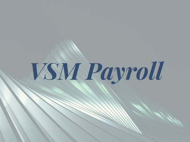 VSM Payroll