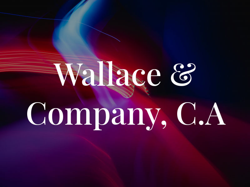Wallace & Company, C.A