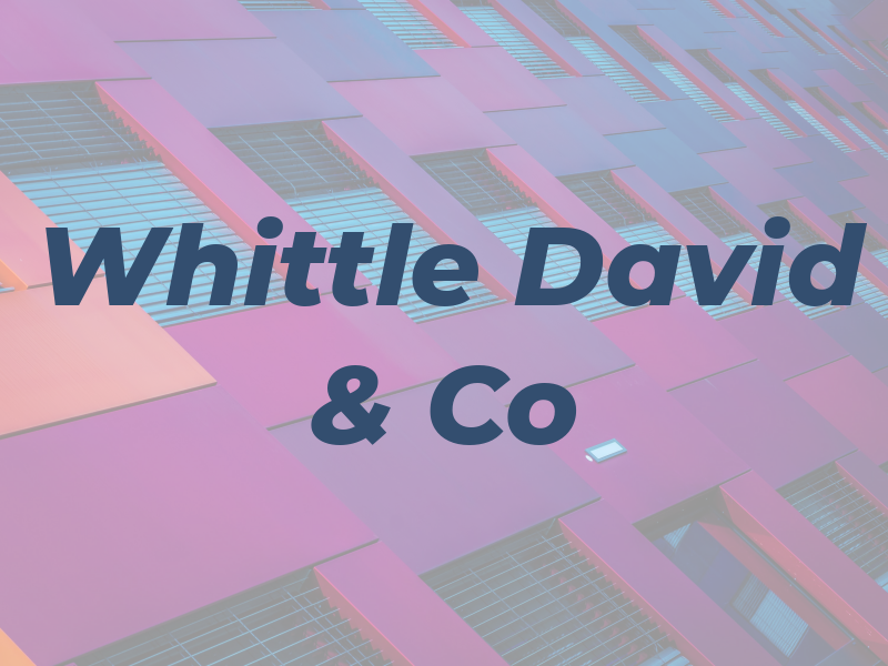 Whittle David & Co
