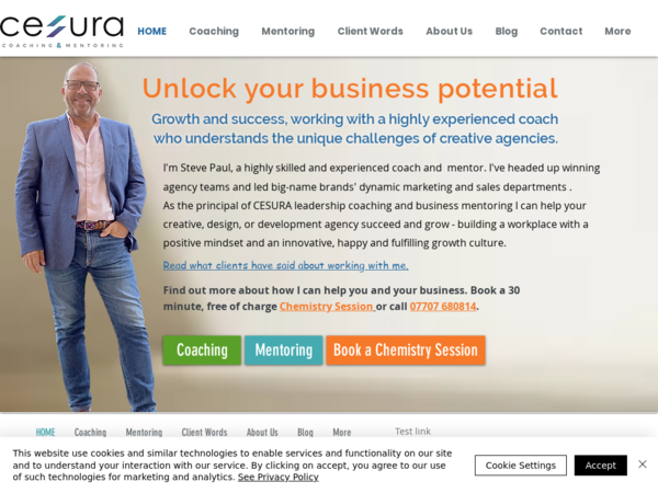 Cesura Coaching and Mentoring For Individuals and Businesses