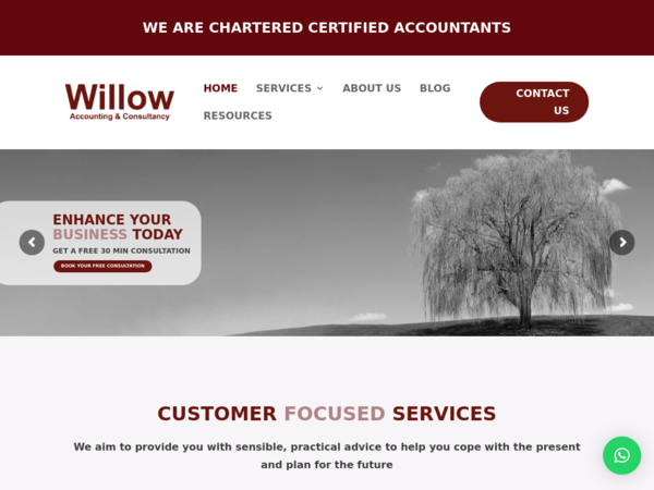 Willow Accounting & Consultancy