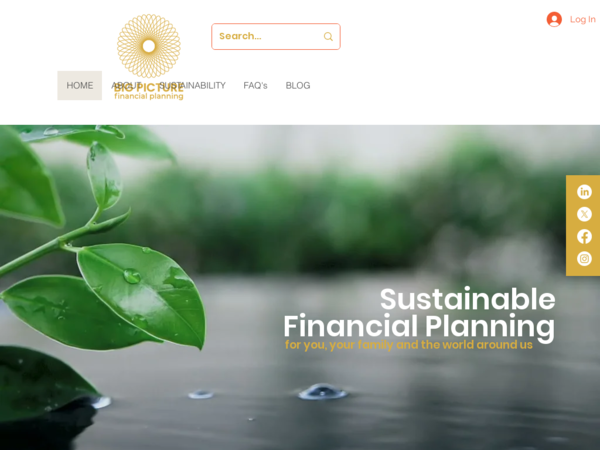 Big Picture Financial Planning