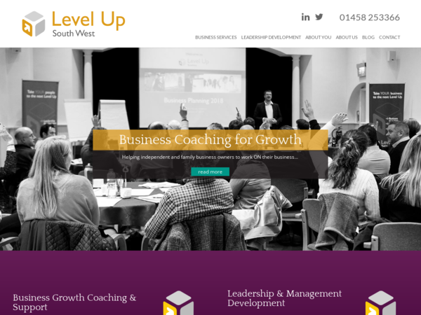 Level Up Business & Leadership Coaching