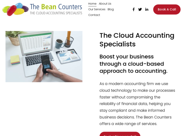 The Bean Counters Accountants