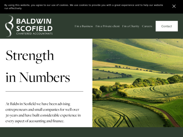 Baldwin Scofield, Chartered Accountants