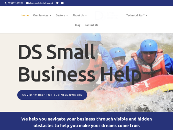 DS Small Business Help