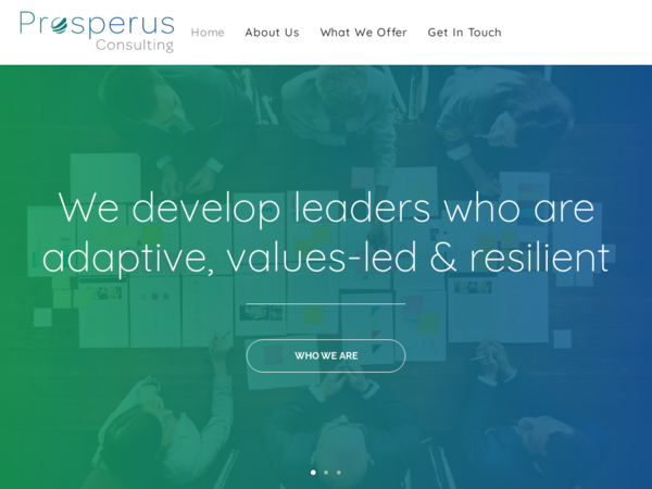 Prosperus Consulting