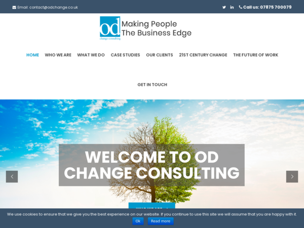 OD Change Consulting