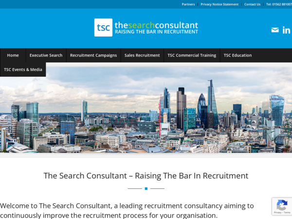 The Search Consultant