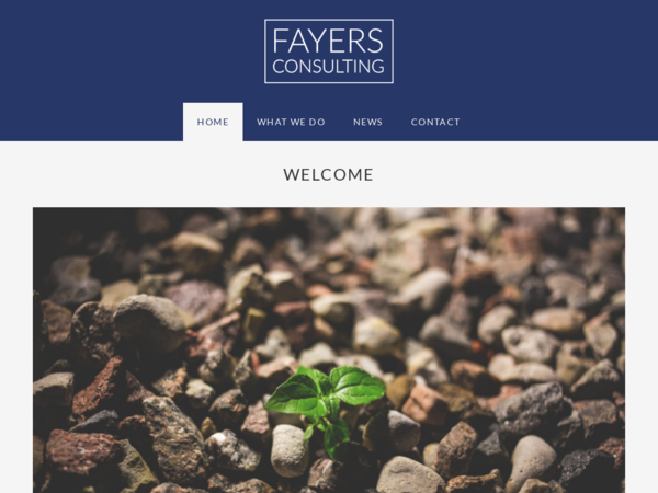 Fayers Consulting