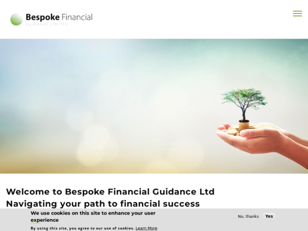 Bespoke Financial Guidance